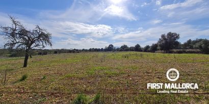 Real Estates picture 1 Ref. 81037