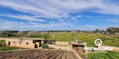 Real Estates picture 2 Ref. 81038