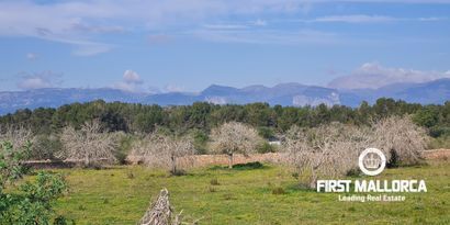 Real Estates picture 3 Ref. 81038