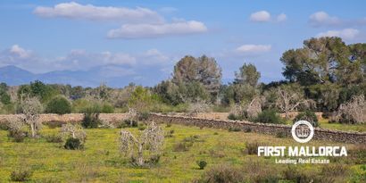 Real Estates picture 6 Ref. 81038