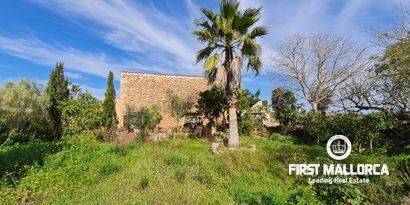 Real Estates picture 7 Ref. 81038