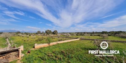 Real Estates picture 1 Ref. 81038