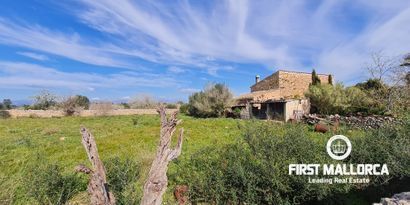 Real Estates picture 0 Ref. 81038