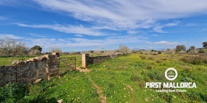 Real Estates picture 4 Ref. 81038