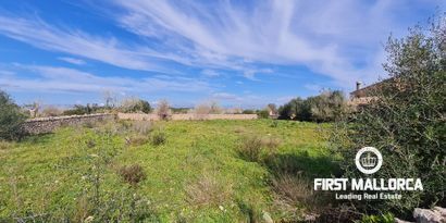 Real Estates picture 5 Ref. 81038