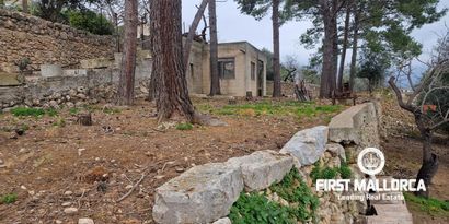 Inmobiliaria picture 8 Ref. Nº. 81162