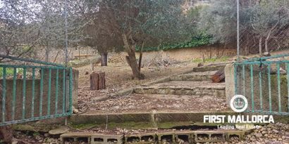 Inmobiliaria picture 10 Ref. Nº. 81162