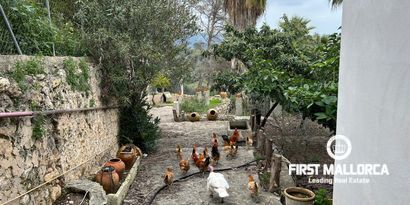 Inmobiliaria picture 9 Ref. Nº. 81162