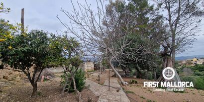 Inmobiliaria picture 11 Ref. Nº. 81162