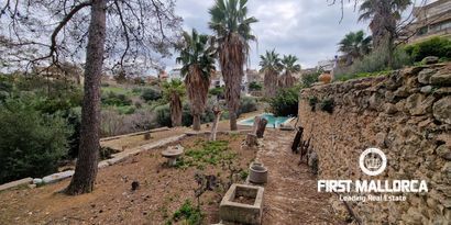 Inmobiliaria picture 7 Ref. Nº. 81162