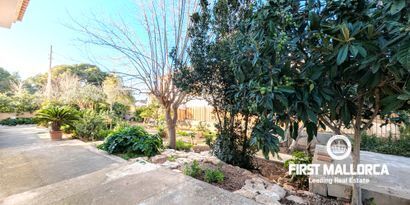 Недвижимость picture 4 Ref 81136