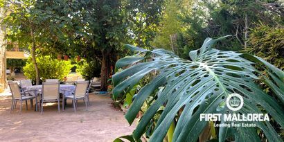 Real Estates picture 15 Ref. 80970