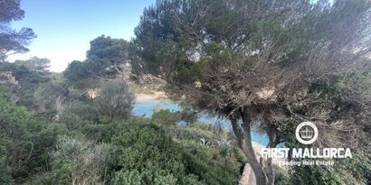 Inmobiliaria picture 11 Ref. Nº. 74145