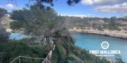 Inmobiliaria picture 3 Ref. Nº. 74145