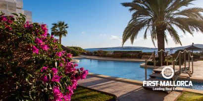 Inmobiliaria picture 22 Ref. Nº. 81173