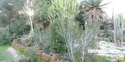 Real Estates picture 21 Ref. Nr. 81298