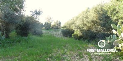 Real Estates picture 2 Ref. Nr. 81298