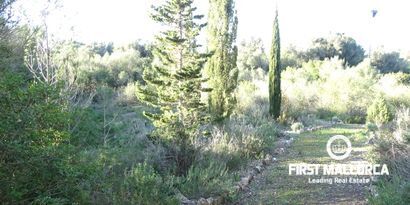 Real Estates picture 15 Ref. Nr. 81298