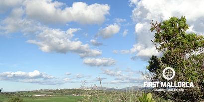 Real Estates picture 9 Ref. Nr. 81298