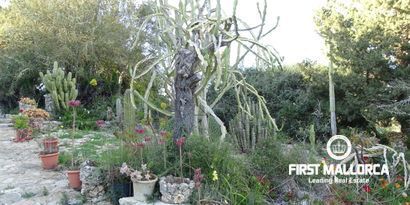 Real Estates picture 22 Ref. Nr. 81298