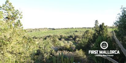 Real Estates picture 1 Ref. Nr. 81298