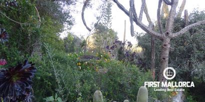 Real Estates picture 7 Ref. Nr. 81298