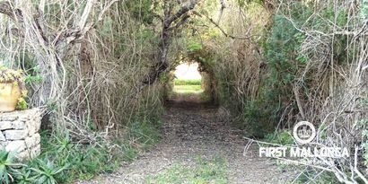 Real Estates picture 6 Ref. Nr. 81298