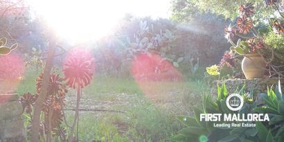 Real Estates picture 8 Ref. Nr. 81298