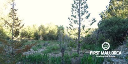 Real Estates picture 5 Ref. Nr. 81298