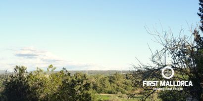 Real Estates picture 4 Ref. Nr. 81298