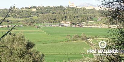 Real Estates picture 0 Ref. Nr. 81298