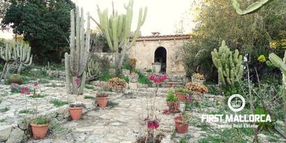 Real Estates picture 24 Ref. Nr. 81298