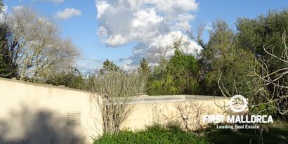 Real Estates picture 20 Ref. Nr. 81298