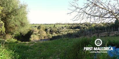 Real Estates picture 3 Ref. Nr. 81298