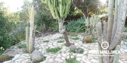 Real Estates picture 23 Ref. Nr. 81298