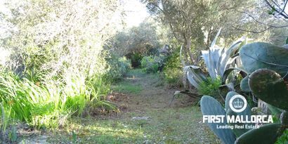 Real Estates picture 11 Ref. Nr. 81298