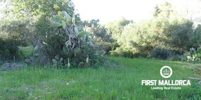 Real Estates picture 10 Ref. Nr. 81298