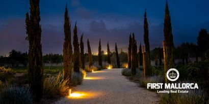 Inmobiliaria picture 6 Ref. Nº. 81265