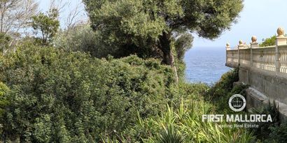 Inmobiliaria picture 14 Ref. Nº. 81135