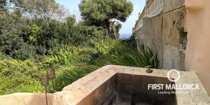 Inmobiliaria picture 2 Ref. Nº. 81135