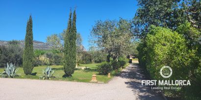 Inmobiliaria picture 4 Ref. Nº. 81348