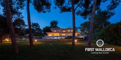 Inmobiliaria picture 8 Ref. Nº. 80981