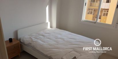 Real Estates picture 7 Ref. 81240