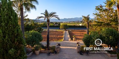 Недвижимость picture 5 Ref 81343