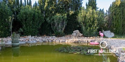 Недвижимость picture 34 Ref 81343