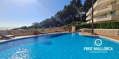 Immobilien picture 3 Ref. Nr. 71937