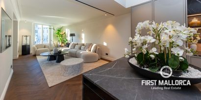 Inmobiliaria picture 7 Ref. Nº. 81068