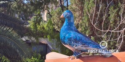 Inmobiliaria picture 18 Ref. Nº. 81117