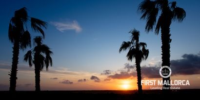 Inmobiliaria picture 46 Ref. Nº. 74012