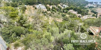 Inmobiliaria picture 3 Ref. Nº. 81335